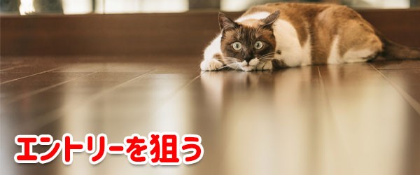 日経225先物のエントリータイミングを狙う